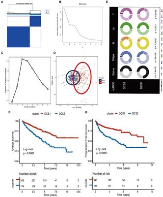 A novel thinking: DDR axis refines the classification of ccRCC with distinctive prognosis, multi omics landscape and management strategy